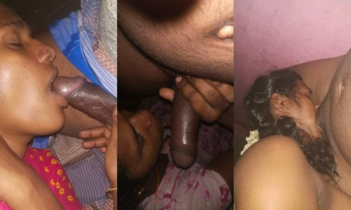 Homely Tamil Wife Sucking Husband Dick